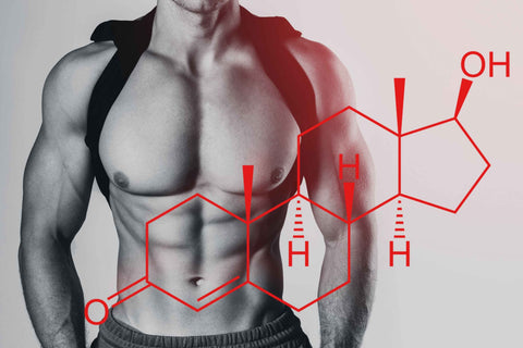 Natural Methods to Maintain High Testosterone Levels as You Age