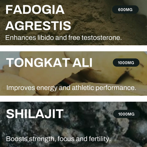 TESTOSTERONE BUNDLE