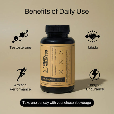 Fadogia Agrestis 600mg