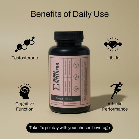Shilajit 1000mg