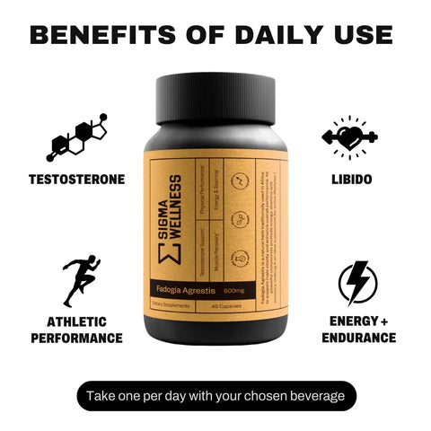 Fadogia Agrestis 600mg