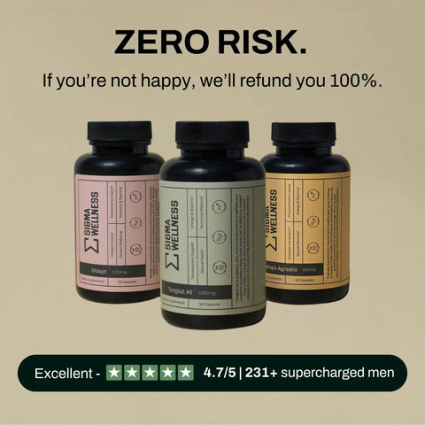 TESTOSTERONE BUNDLE